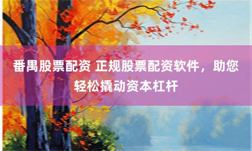 番禺股票配资 正规股票配资软件，助您轻松撬动资本杠杆