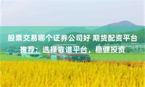 股票交易哪个证券公司好 期货配资平台推荐：选择靠谱平台，稳健投资